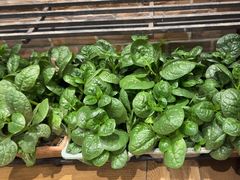 -毛家饭店·融合新湘菜·主题宴(齐鲁软件园店)