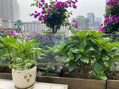 -听香·678茶铺(猛追湾店)