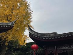 -檀园