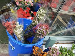 -金科花卉市场