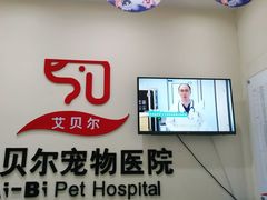 -艾贝尔宠物医院 ·内科全科(梁溪路店)
