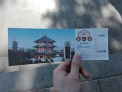 -建华生态湿地百荷园