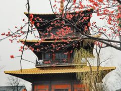 -广富林郊野公园