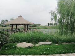 -苏州湾王焰温泉度假酒店