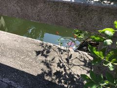 -苏州文旅花间堂·探花府酒店
