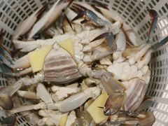 -三个渔夫·蒸汽海鲜(小白楼店)