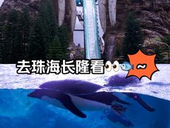 -珠海长隆海洋王国