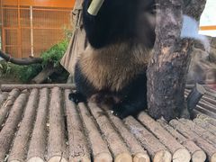 -云南野生动物园