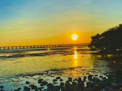 -宝安西湾红树林湿地公园