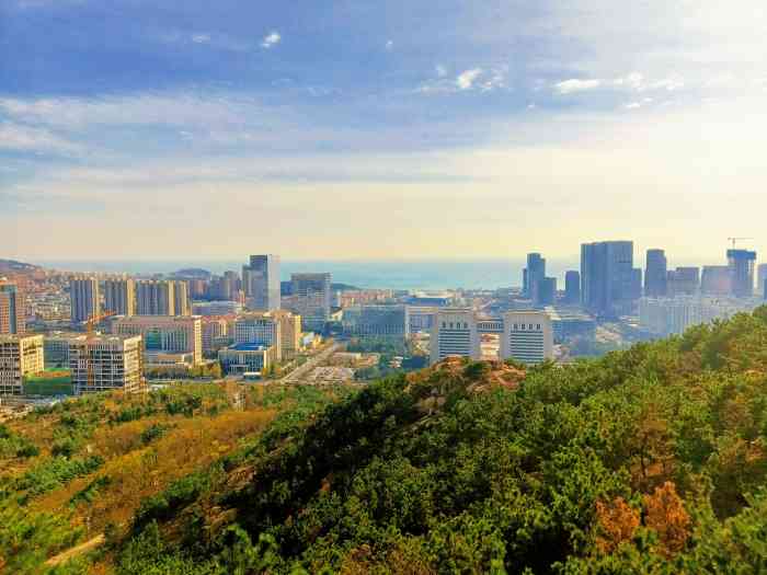 金岭山生态公园-"看到友军发了上面修好的照片,我得亲自封顶.