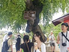 -大慈恩寺(大雁塔)