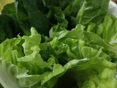 -云鱿记鱿鱼鸡·野生菌火锅(人民南路店)