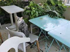-小时光咖啡馆(北锣鼓巷店)