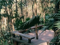 -铁山坪森林公园