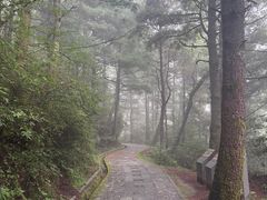 -苍山感通索道