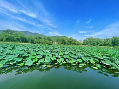 -国家植物园南园