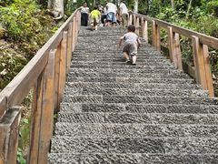 -云碧峰国家森林公园
