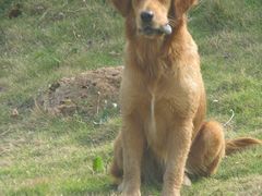 -西涌国际滨海旅游区