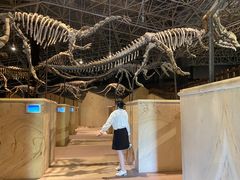 -世界恐龙谷景区