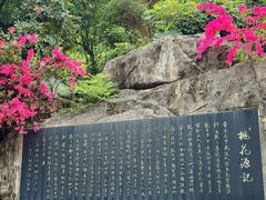 -广州市白云山风景名胜区