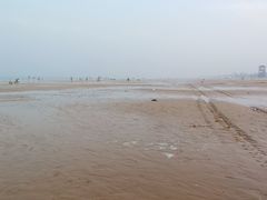 -日照海滨国家森林公园