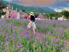 -玫瑰海岸文化旅游度假区