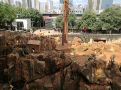-昆明动物园