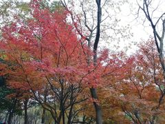 -狼山风景名胜区