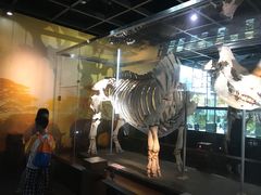 -广东中医药博物馆