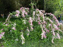 -济南国际园博园