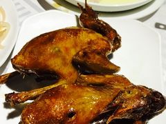-琬苑鸽庄·川粤融合菜(解放碑总店)