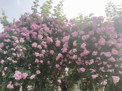 -尚贤河湿地