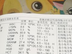 -荔康动物医院(康王北路店)