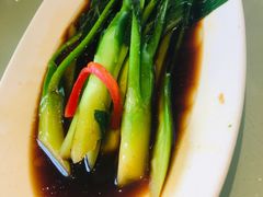 -湯記傳菜