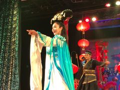 -金东尼人妖秀