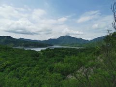 -天源渔港农庄