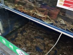 -阳澄湖大闸蟹·琼灵阁牌品牌连锁(吴中总店)