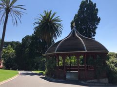 -墨尔本皇家植物园