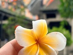 -陈家祠堂-游客中心