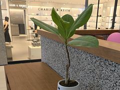 -野人先生Gelato(上海长宁龙之梦店)