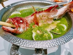 -狮拾久·现代新加坡料理(福田COCO Park店)