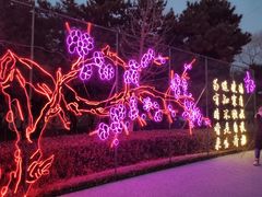 -青龙湖公园