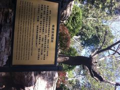 iphone_upload_pic-景山公园