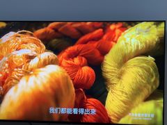 -Sony Store索尼(广州正佳店)