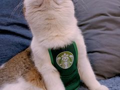 -龍城柳州螺蛳粉(群星路店)