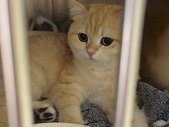 -宠福鑫康馨动物医院·骨科·眼科