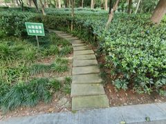 -北极阁公园