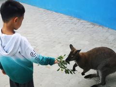 -西霞口神雕山野生动物世界