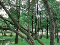 -人民公园(罗湖区)