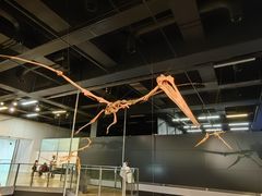 -墨尔本博物馆(Melbourne Museum)